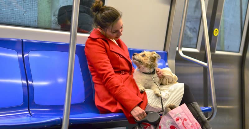 Kvinna åker tunnelbana med sin hund