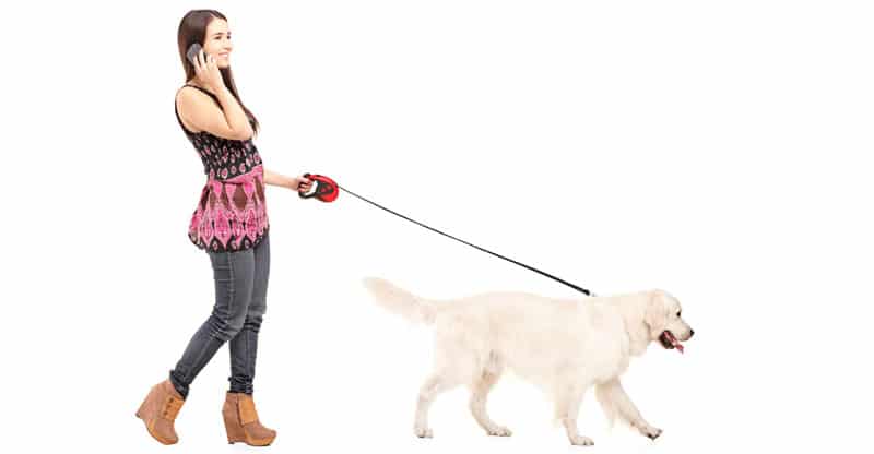 Kvinna på hundpromenad som pratar i mobiltelefon