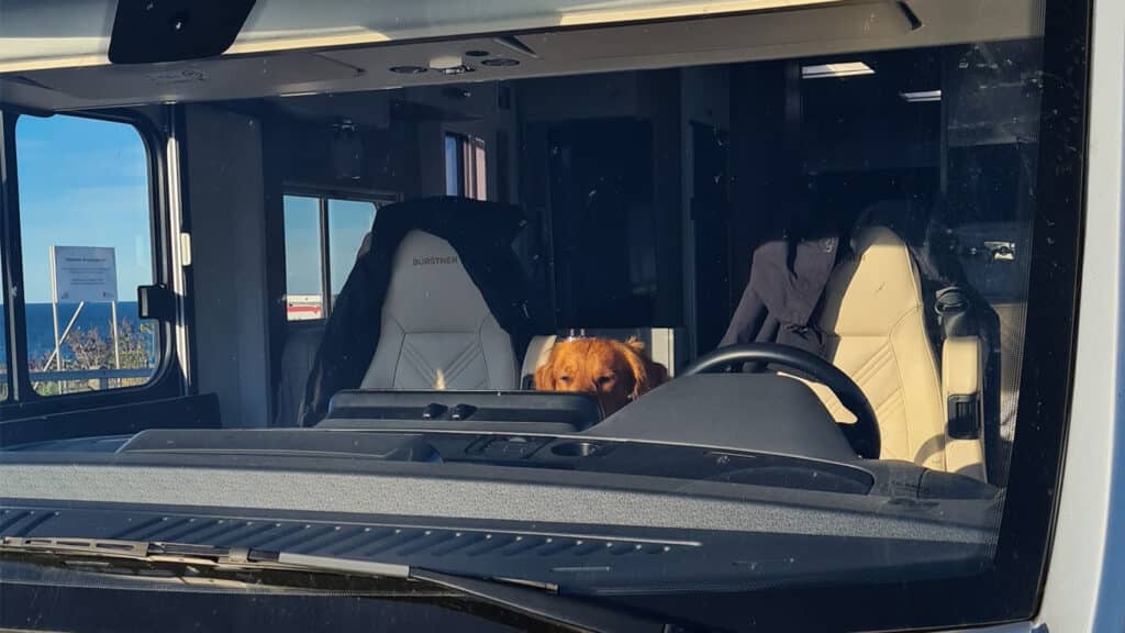 Hunden Aksel i husbilen