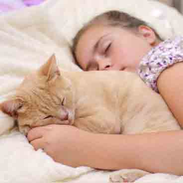 Ett barn och en katt sover tillsammans