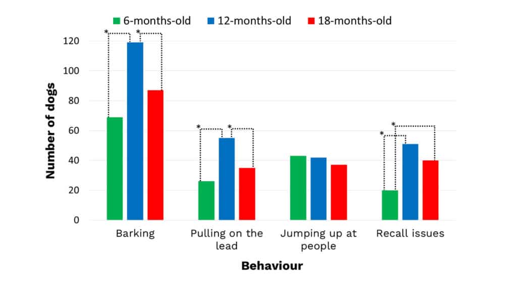 Resultat Generation pup- beteende problem