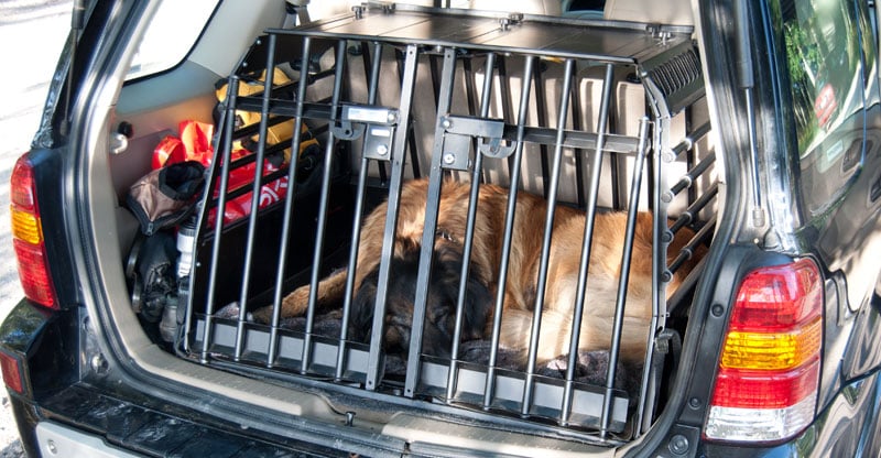 Hund som sover i sin bur bak i bilen