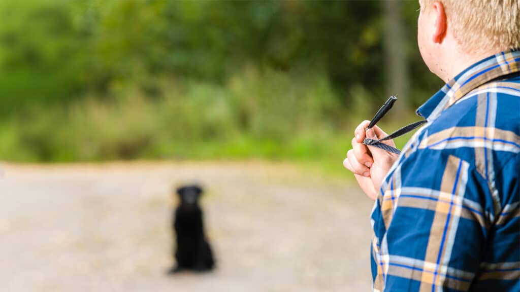 inkallning-med-visselpipa Inkallning med visselpipa