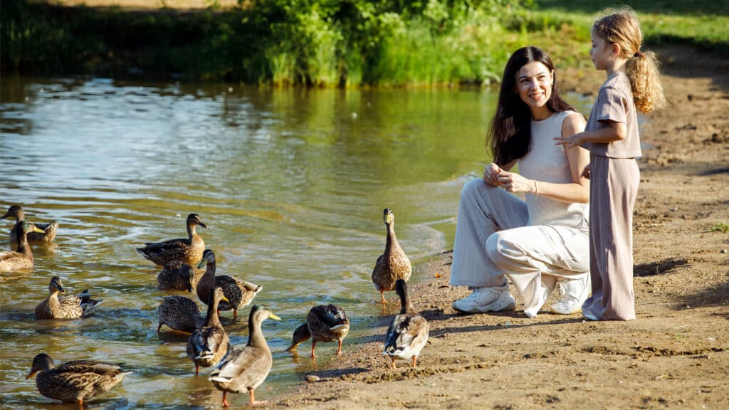 En kvinna med ett barn matar fåglar i en park